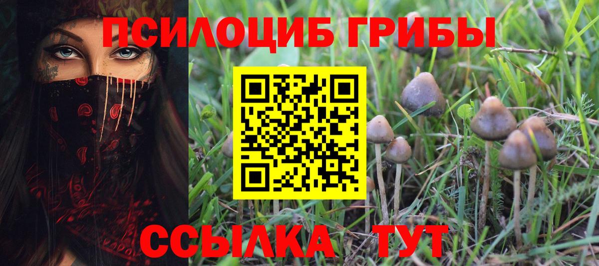 Кирово-Чепецк  Галлюциногенные грибы Psilocybine cubensis  Вход с VPN 
